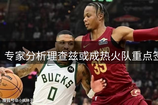 专家分析理查兹或成热火队重点签约对象